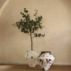 antique pot in Nigeria